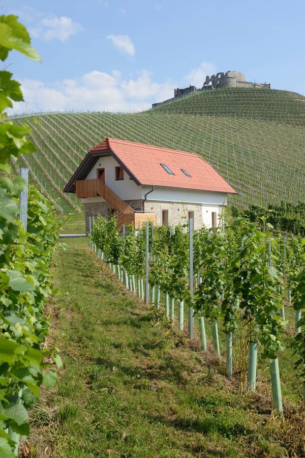 Weingut Taggenbrunn Hotel Sankt Veit an der Glan Exterior foto