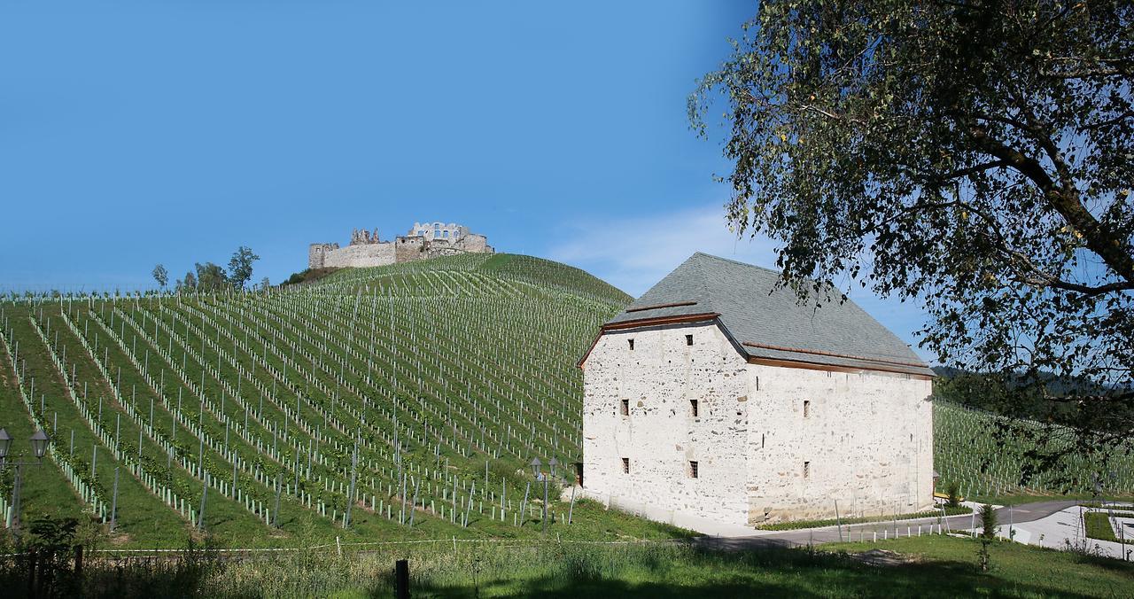 Weingut Taggenbrunn Hotel Sankt Veit an der Glan Exterior foto