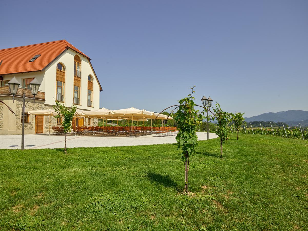 Weingut Taggenbrunn Hotel Sankt Veit an der Glan Exterior foto